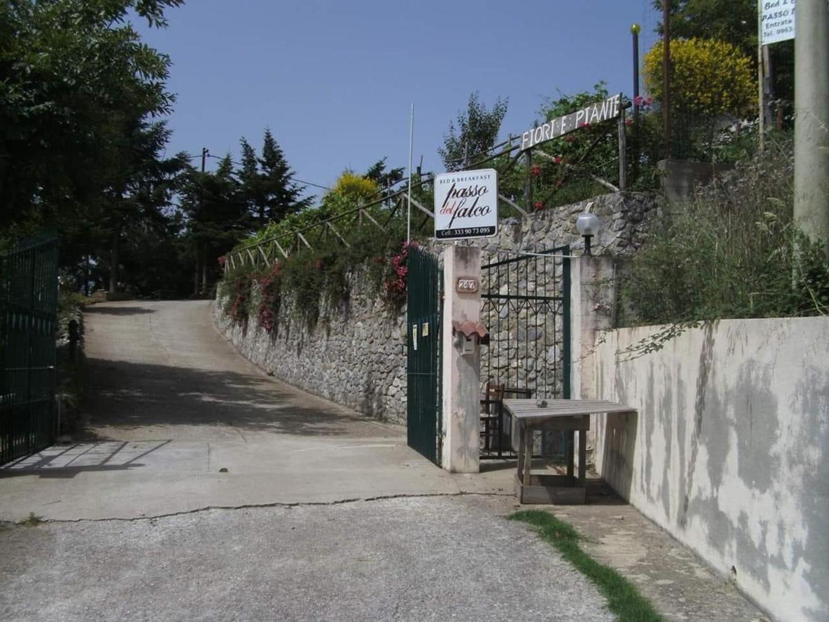 B&B Passo Del Falco Sorianello Bagian luar foto
