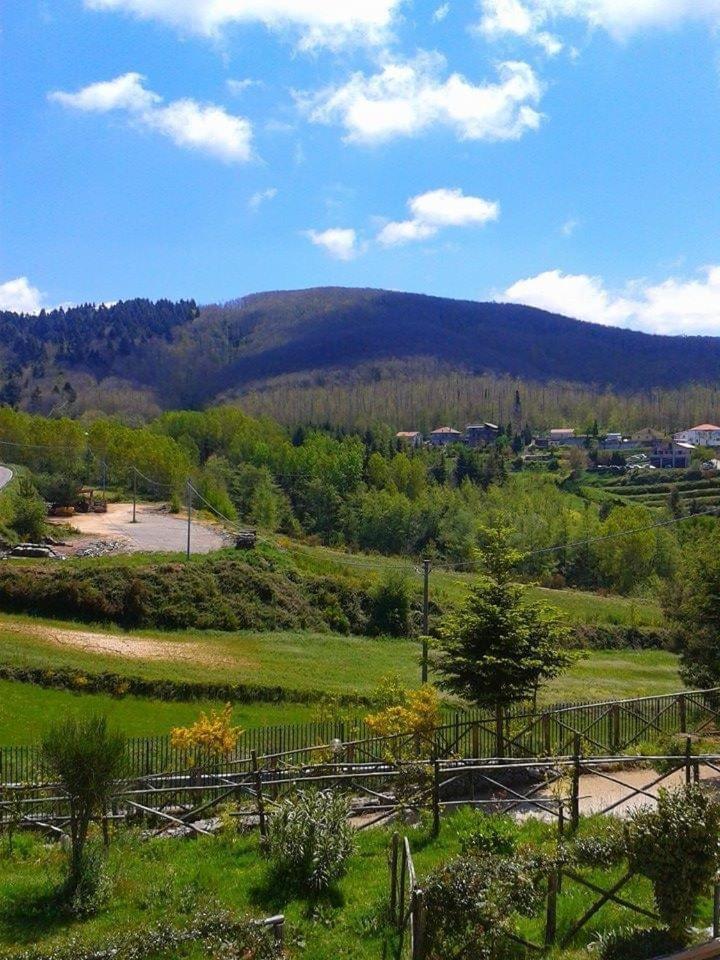 B&B Passo Del Falco Sorianello Bagian luar foto