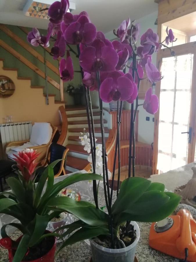 B&B Passo Del Falco Sorianello Bagian luar foto