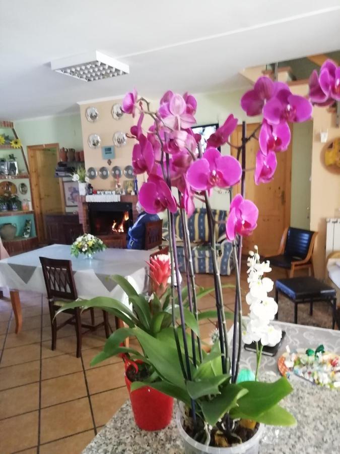 B&B Passo Del Falco Sorianello Bagian luar foto